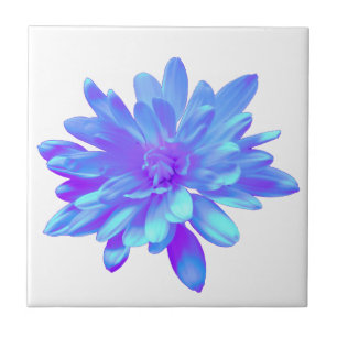 Flor floral púrpura Elegante