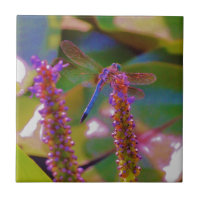 Flor fuchsia e mosca dragão