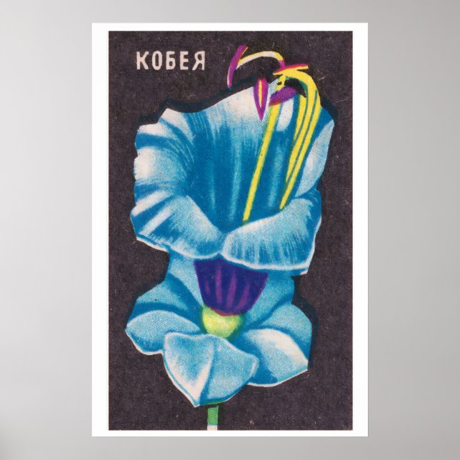 Flor Kobeya - Impressão Caixa de Fósforos - Parede (Frente)