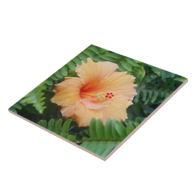 Flor Laranja Hibiscus com Ferns (Lateral)