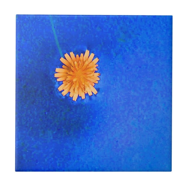 Flor Laranja Única (Frente)