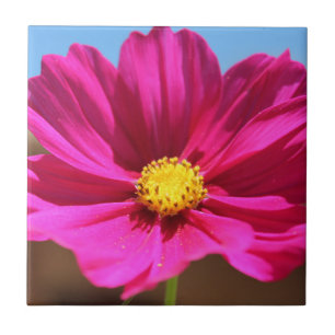 Flor Magenta