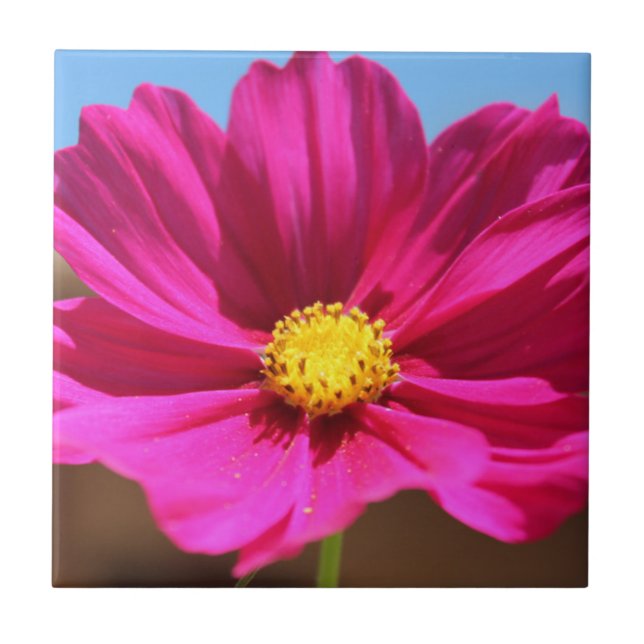 Flor Magenta (Frente)