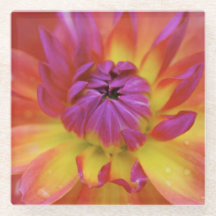 Flor magenta e amarela