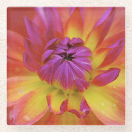 Flor magenta e amarela