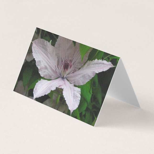 flor maravilhosa (Frente)