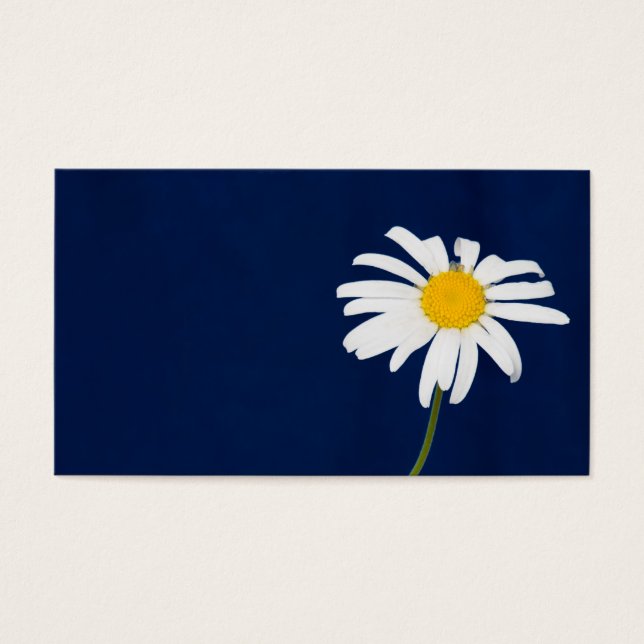 Flor margarida (Frente)