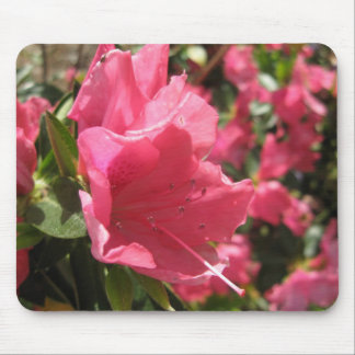 Flor Mousepad