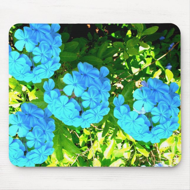 Flor Mousepad (Frente)