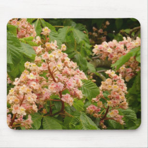 Flor Mousepad da castanha de cavalo