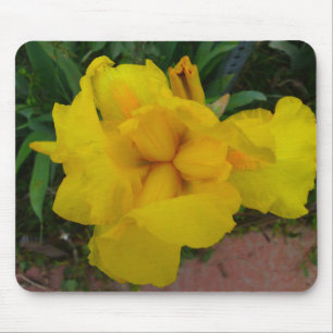 Flor Mousepad da íris amarela