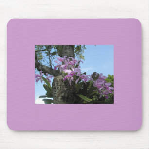 Flor Mousepad da orquídea -