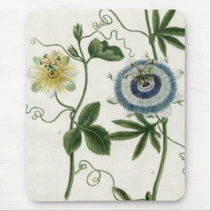 Flor Mousepad da paixão
