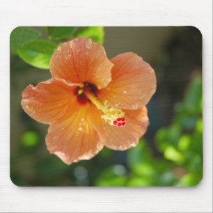 Flor Mousepad de Hibiscis