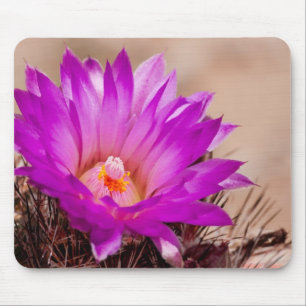 Flor Mousepad do cacto de Spinystar