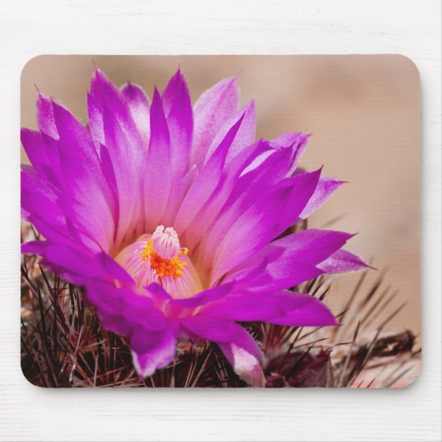 Flor Mousepad do cacto de Spinystar (Frente)