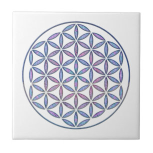 Flor Mystical da vida