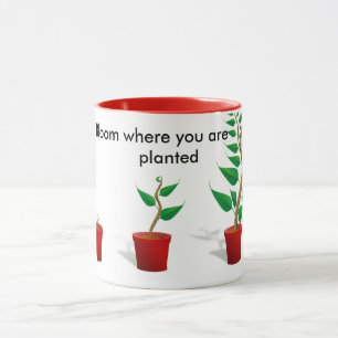 Flor onde você é caneca plantada