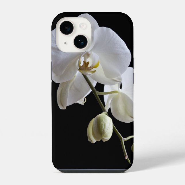 Flor Orquídea Branca em Preto (Verso)