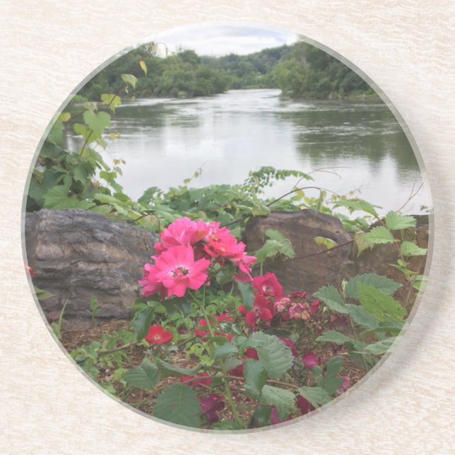 Flor pela porta copos do rio (Frente)