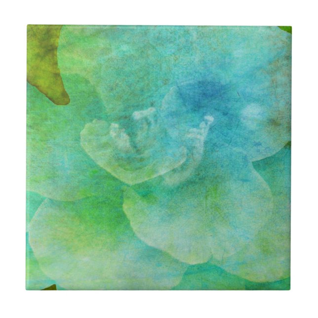 Flor pintada por Shirley Taylor (Frente)