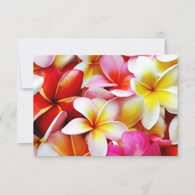 Flor Plumeria Frangipani Hawaii Personalizado (Frente)