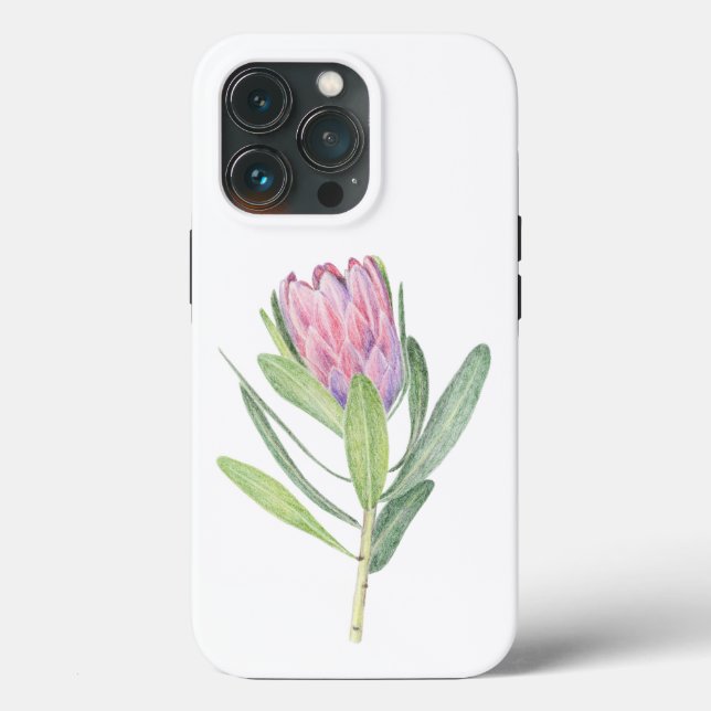 Flor Protea (Verso)