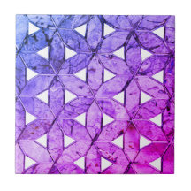 Flor púrpura azul rosa da vida, geometria assustad