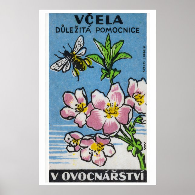 Flor Rosa Abelha Amarela - Impressão Caixa de Fósf (Frente)