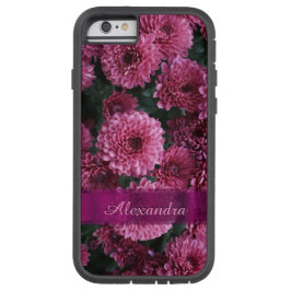 Flor rosa bonito e personalizada Chrysanthemum