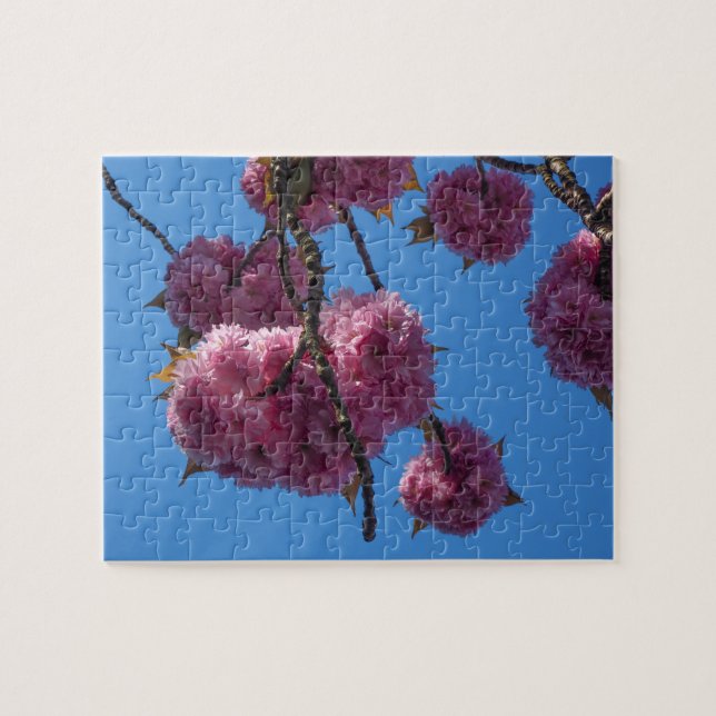Flor Rosa, Céu Azul - Quebra-cabeça de Jigsaw (Horizontal)