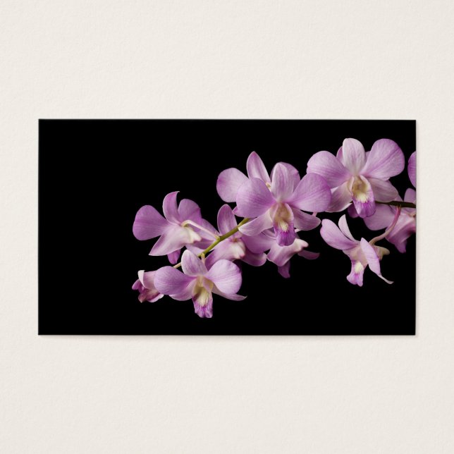 Flor Rosa Dendrobium Orchid em Preto - Orquídeas (Frente)