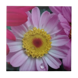 Flor rosa e amarela