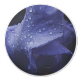 Flor Rosa púrpura