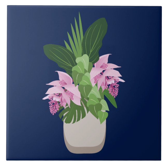 Flor Rosa-Rosa-Medinilla Tropical Vase de Azul-Esc (Frente)