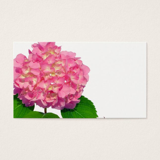 Flor rosa-rosa-rosa-hidrangea-rosa (Frente)