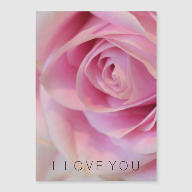 Flor Rosa Rosa Rosa Rosa Rosa Rosa Rosa Rosa Rosa (Frente)