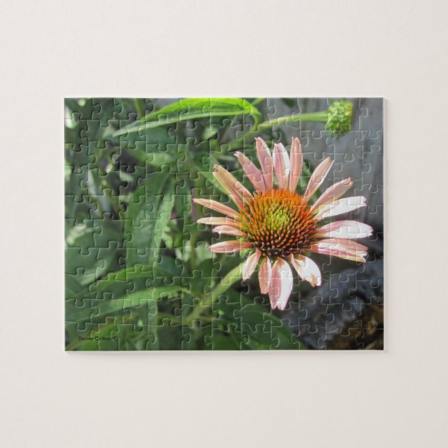 Flor rosa solteiro em um Quebra-cabeça de jardim (Horizontal)