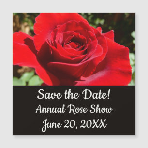 Flor Rosa vermelha Brilhante Floral