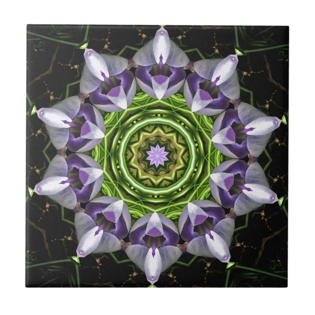 Flor Roxa (Frente)