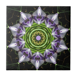 Flor Roxo