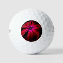 Flor selvagem roxa - gbcnm