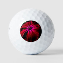 Flor Selvagem Roxo6 gbcna