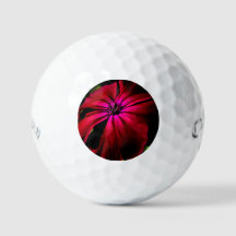 Flor selvagem roxo gbcnm