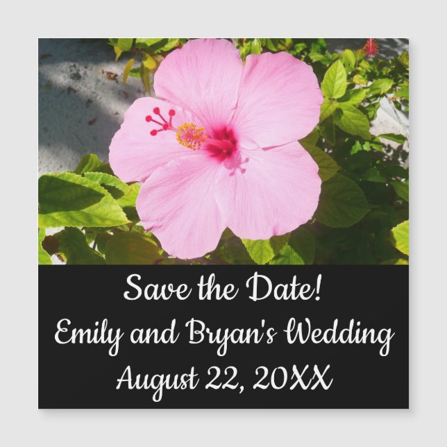 Flor Tropical de Hibiscus Rosa (Frente)