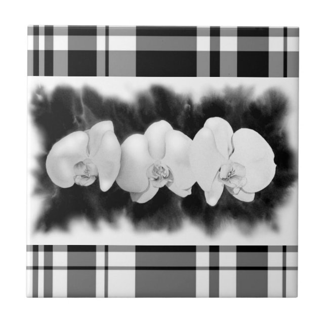 Flor tropical de pintura da Orquídea Branca Negra (Frente)