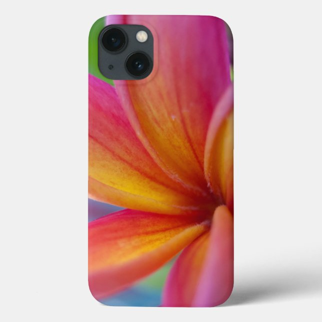 Flor Tropical de Plumeria Rosa Greve (Verso)