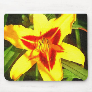Flor vermelha & amarela Mousepad do hemerocallis