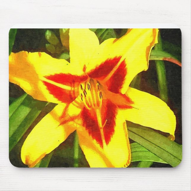 Flor vermelha & amarela Mousepad do hemerocallis (Frente)
