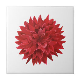 Flor Vermelho de Aquarela